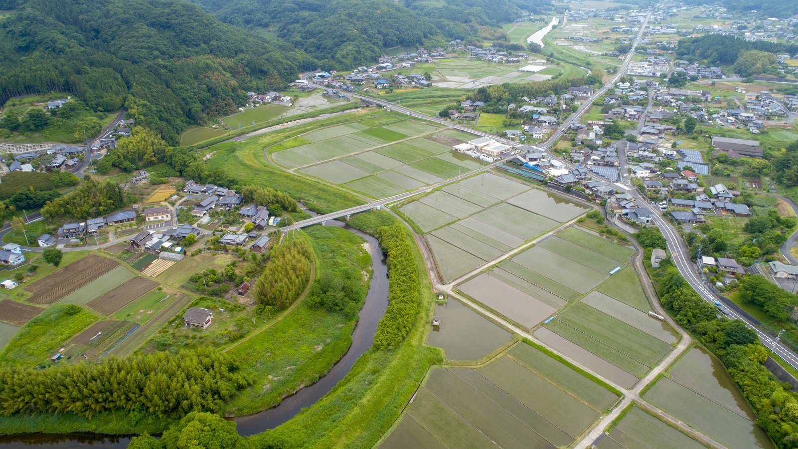 ひまわり航空写真